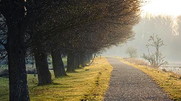 jeff van roosmalen s 3uxlsptkm unsplash