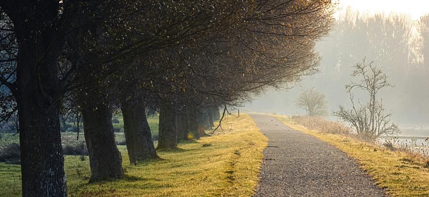 jeff van roosmalen s 3uxlsptkm unsplash